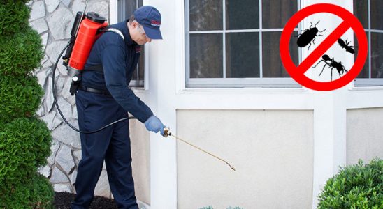 Karamanlı Kene İlaçlama böcek ilaçlama ve haşere kontrolü — ilaclama-tr.com